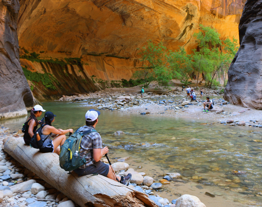 Guest and guide watching the glow on a log in Zion